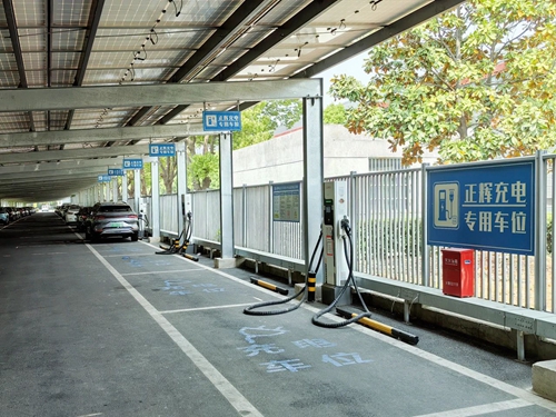 5081746511584437.jpg 3.jpg